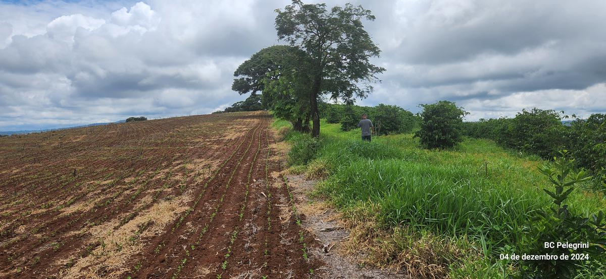 Fazenda, Centro, 2 Quartos, 1 Vaga, 1 Suíte