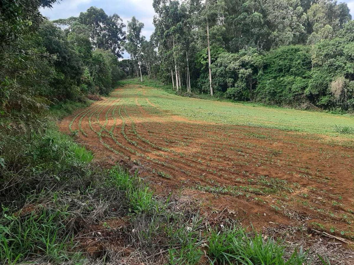 Fazenda, Centro, 0 Quarto, 0 Vaga
