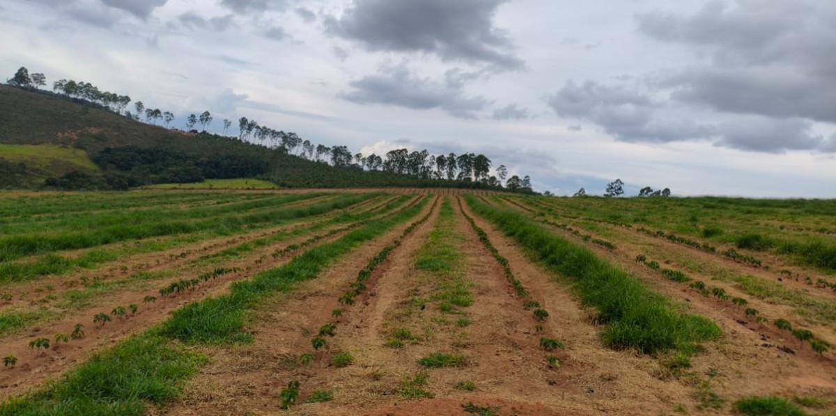 Fazenda, Zona Rural, 0 Quarto, 0 Vaga
