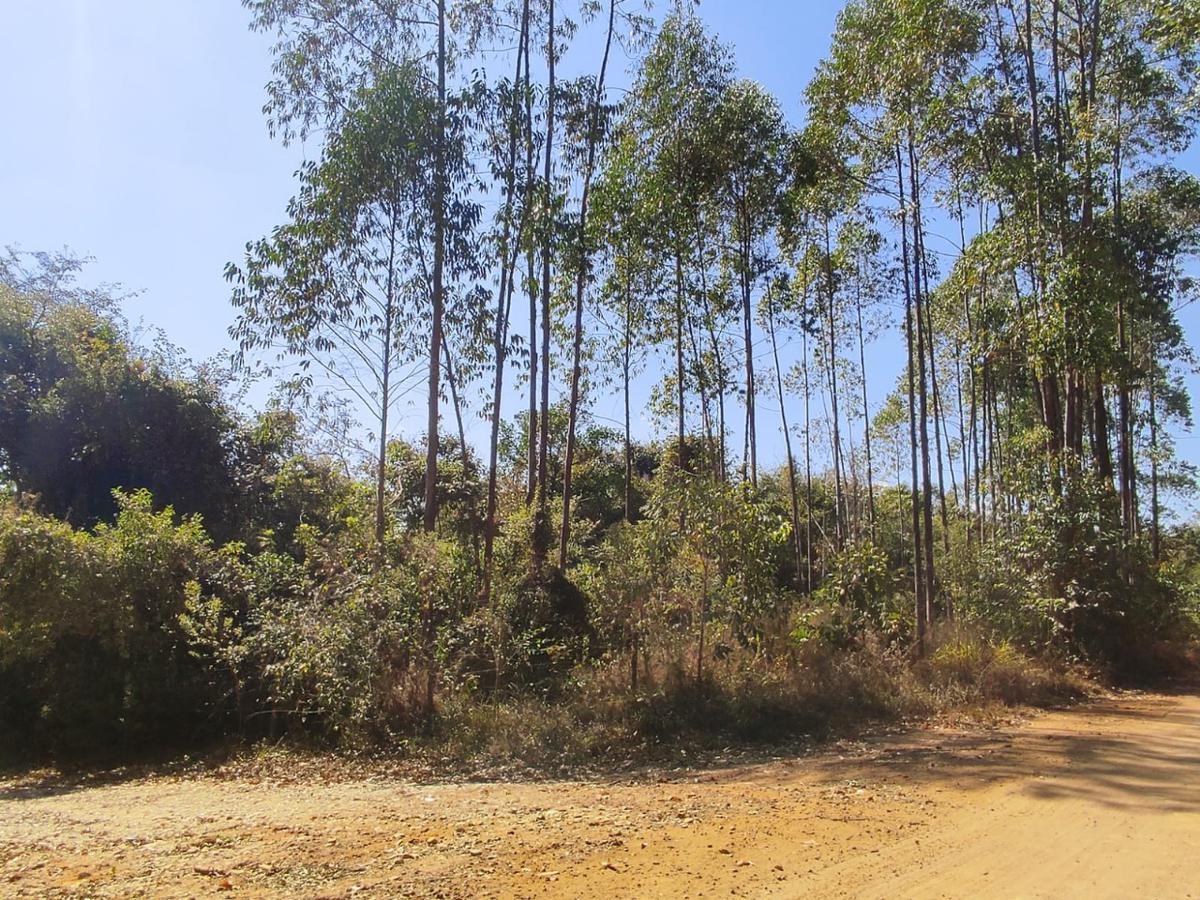Lote, Penedo, 0 Quarto, 0 Vaga