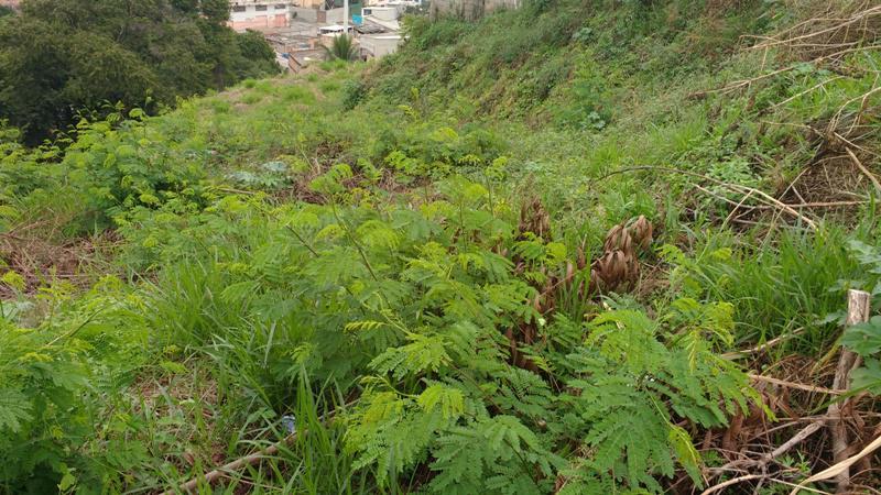 Lote, Novo Santa Cecília (barreiro), 0 Quarto, 10 Vagas