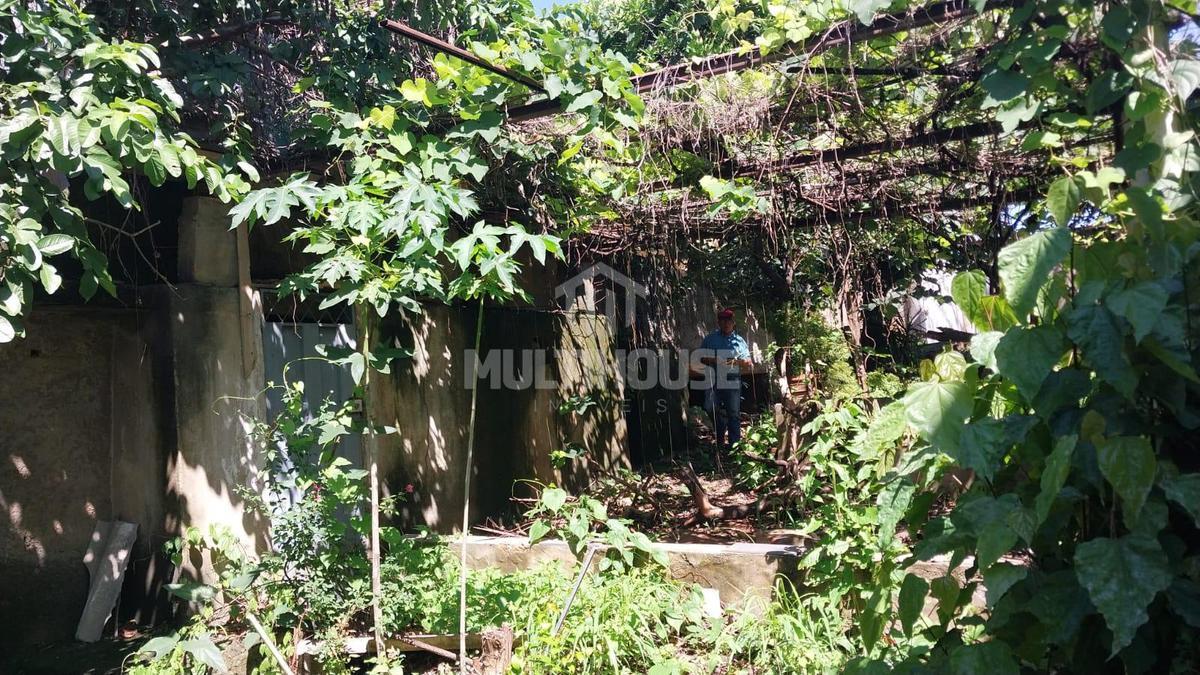 Lote, Jacqueline, 0 Quarto, 0 Vaga