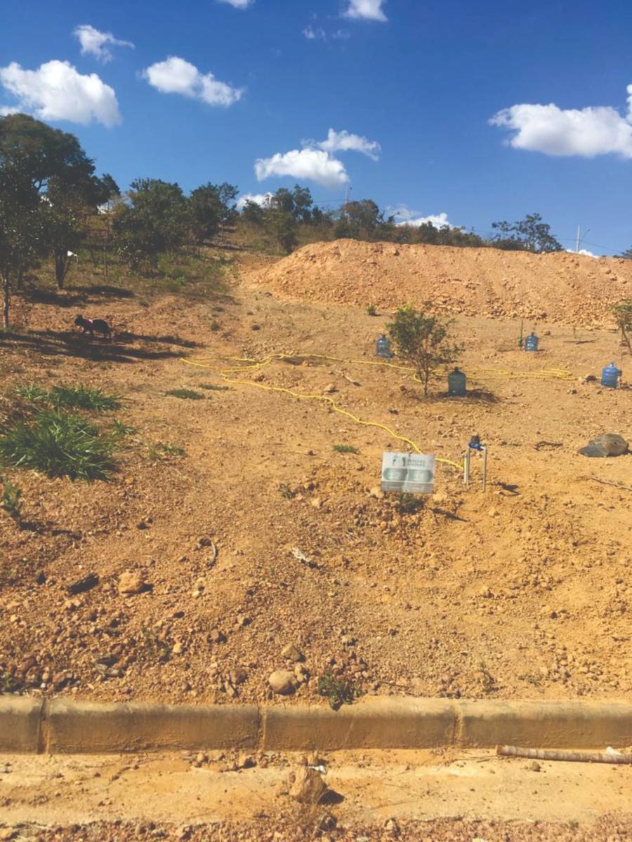 Lote, Centro, 0 Quarto, 0 Vaga