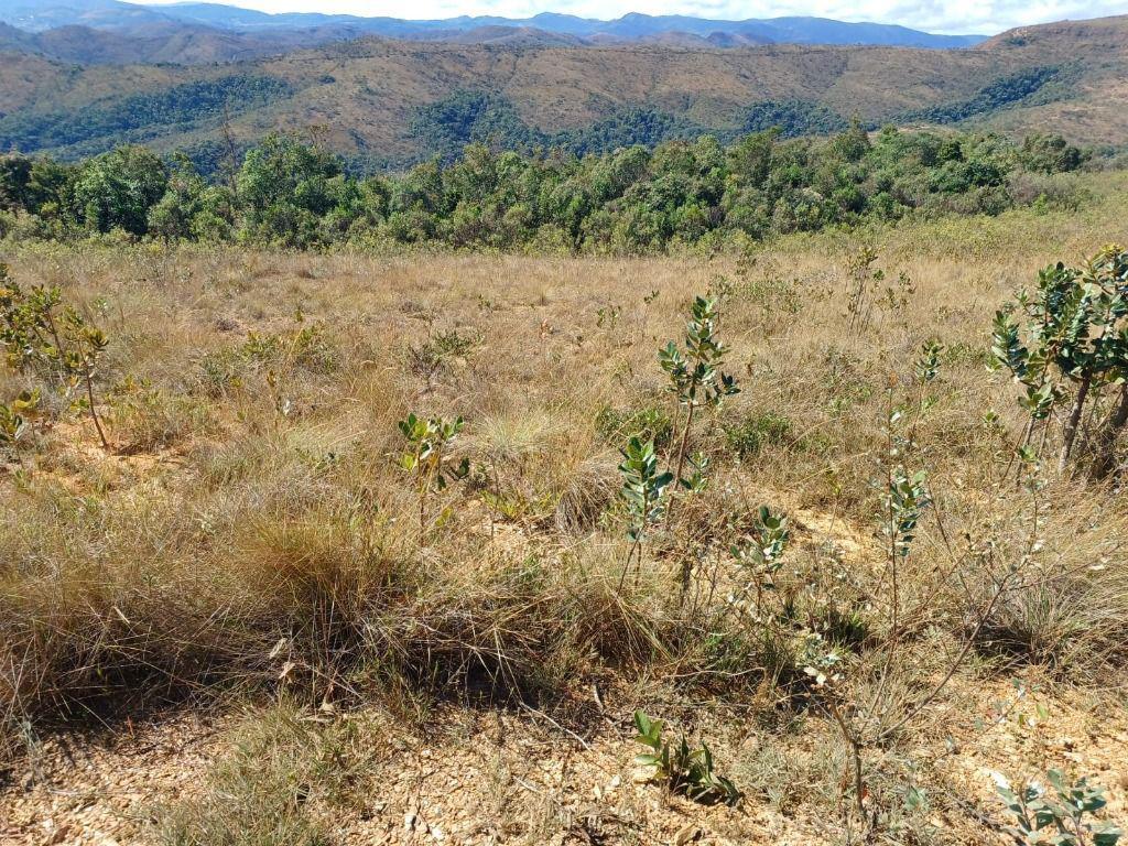 Lote, Morro Vermelho, 0 Quarto, 0 Vaga
