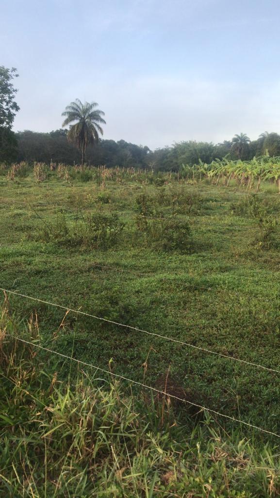Fazenda, Área Rural de Pará de Minas, 3 Quartos, 0 Vaga, 1 Suíte