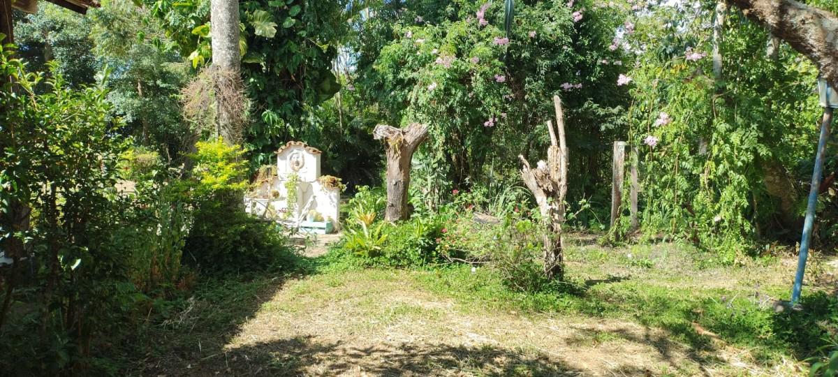 Fazenda, Zona Rural, 0 Quarto, 0 Vaga