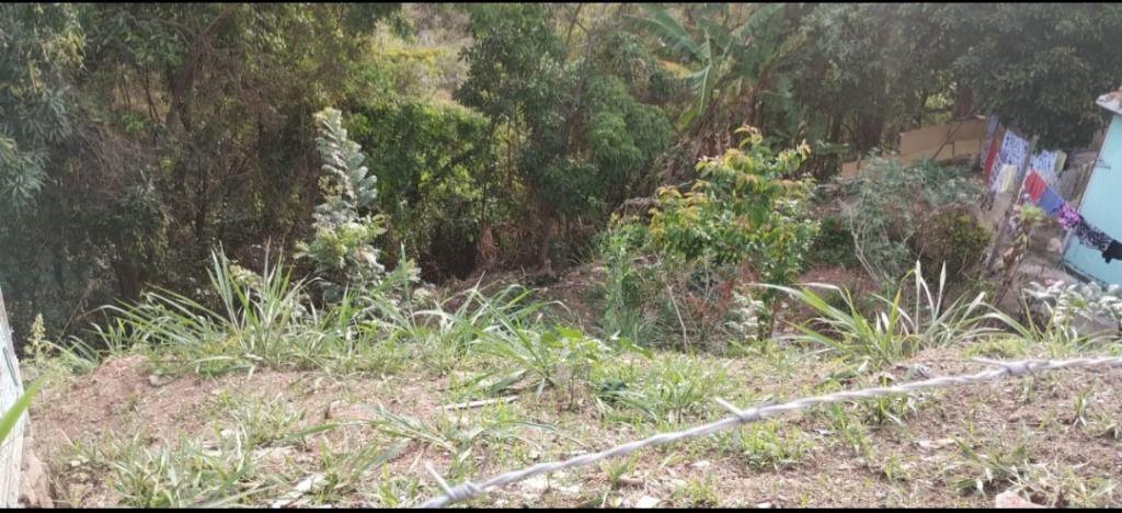 Lote, Vila Rica, 0 Quarto, 0 Vaga