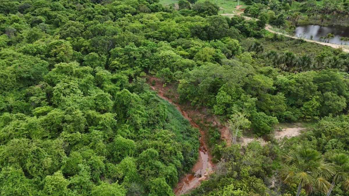 Fazenda, Zona Rural, 0 Quarto, 0 Vaga