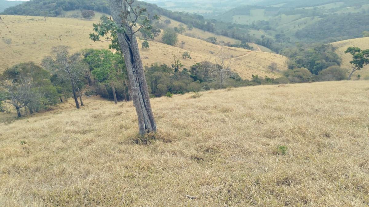 Fazenda, Zona Rural, 0 Quarto, 0 Vaga
