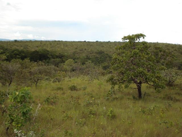 Fazenda, São Jose de Almeida, 0 Quarto, 0 Vaga