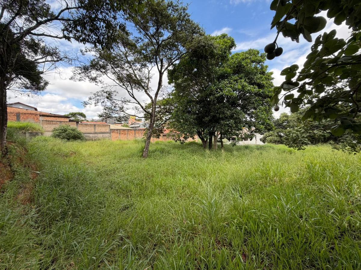 Lote, Veneza, 0 Quarto, 0 Vaga
