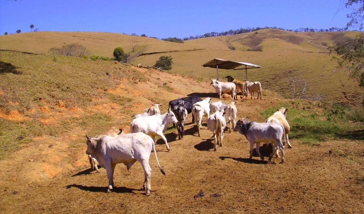 Fazenda, Zona Rural, 0 Quarto, 0 Vaga