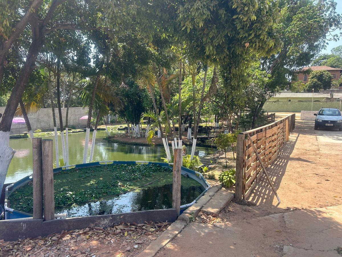 Lote, Trevo, 5 Quartos, 5 Vagas