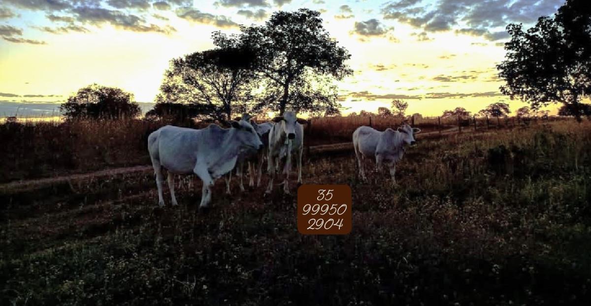 Fazenda, Zona Rural, 0 Quarto, 0 Vaga