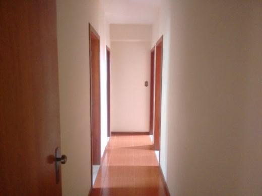 Apartamento, Santa Amélia, 4 Quartos, 2 Vagas, 1 Suíte
