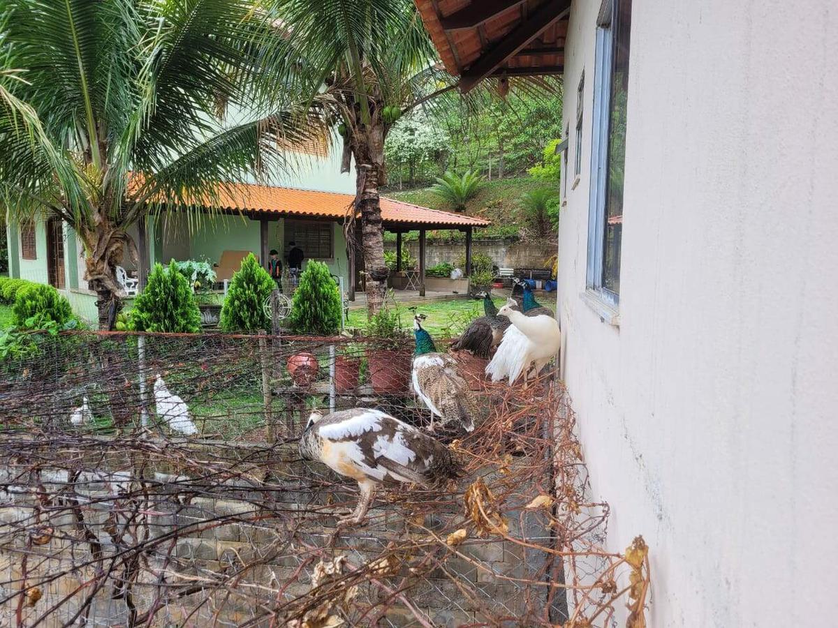 Fazenda, Caracois de Baixo, 4 Quartos, 12 Vagas, 1 Suíte