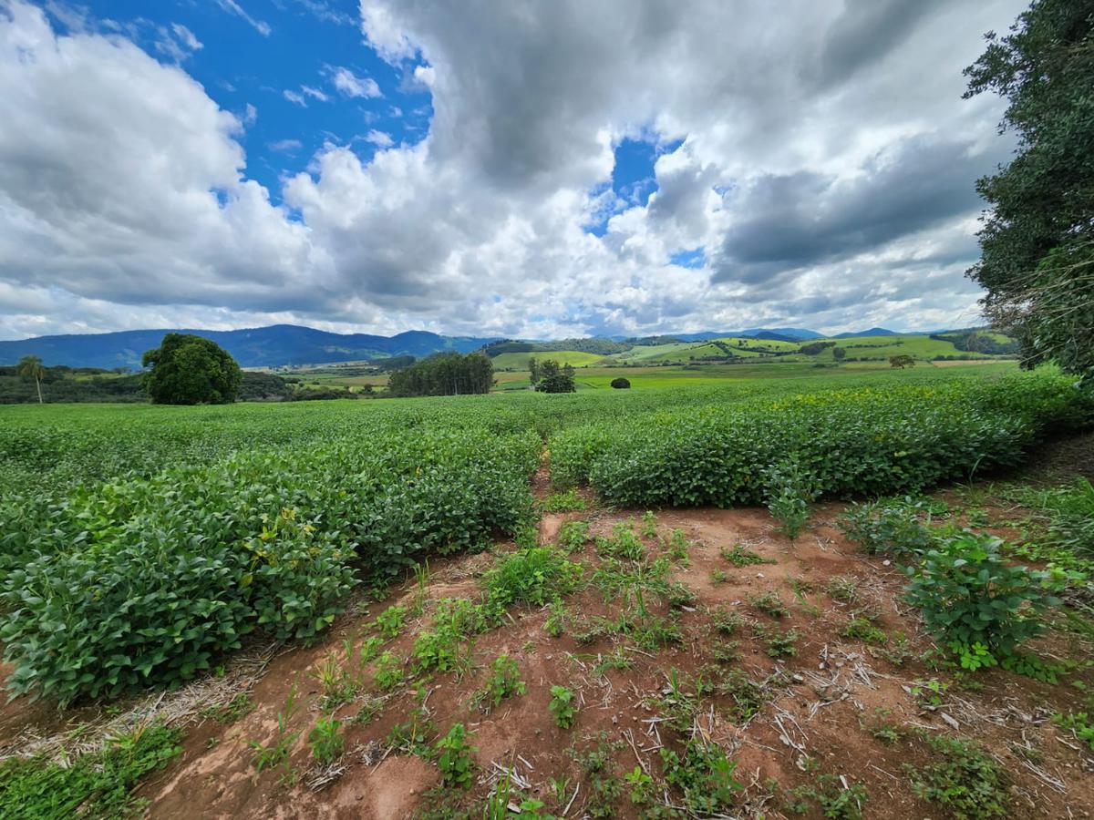 Fazenda, Centro, 1 Quarto, 1 Vaga, 1 Suíte