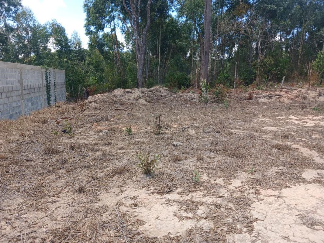 Lote, Roças Novas, 0 Quarto, 0 Vaga