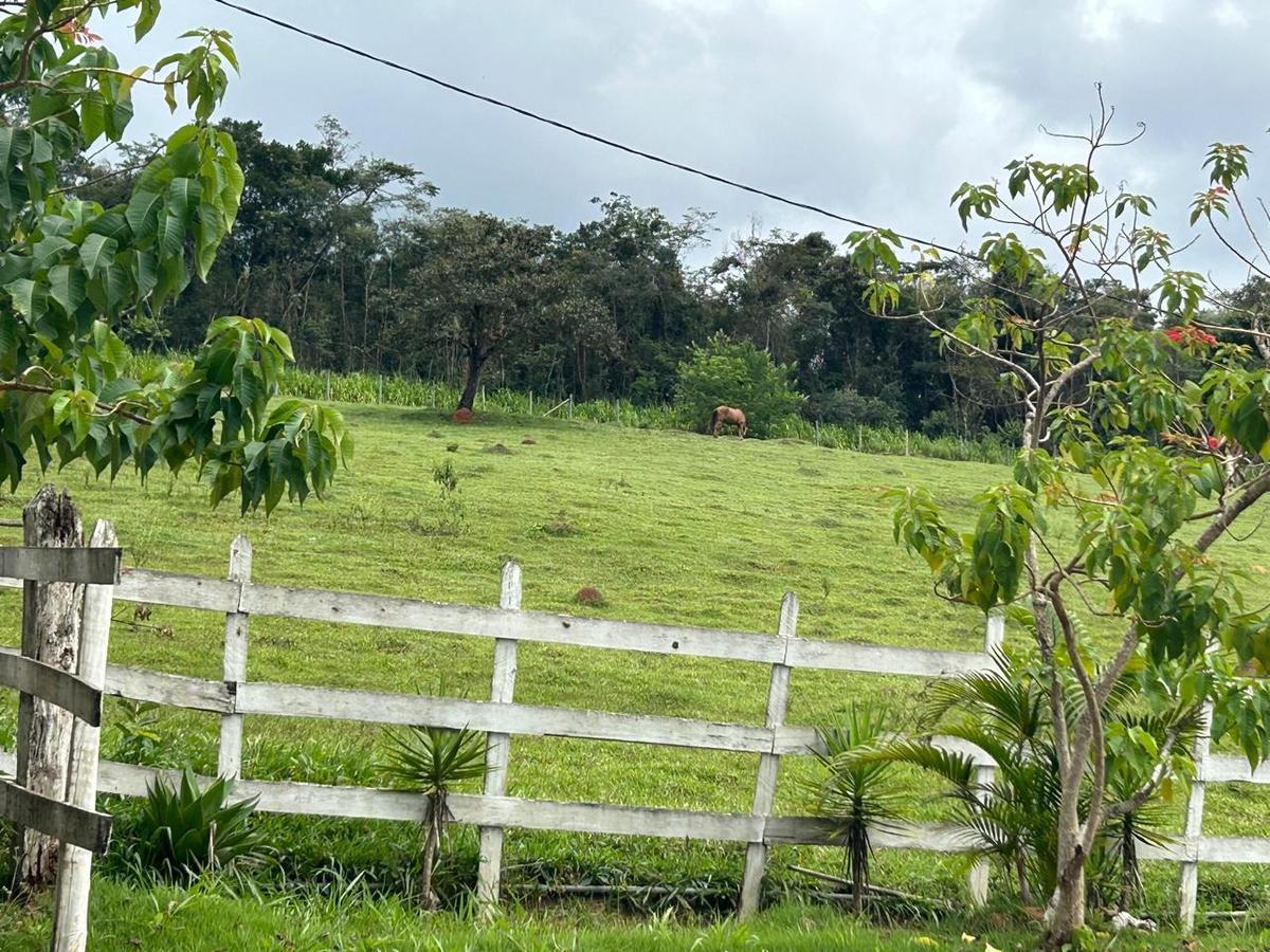 Fazenda, Centro, 5 Quartos, 0 Vaga, 2 Suítes