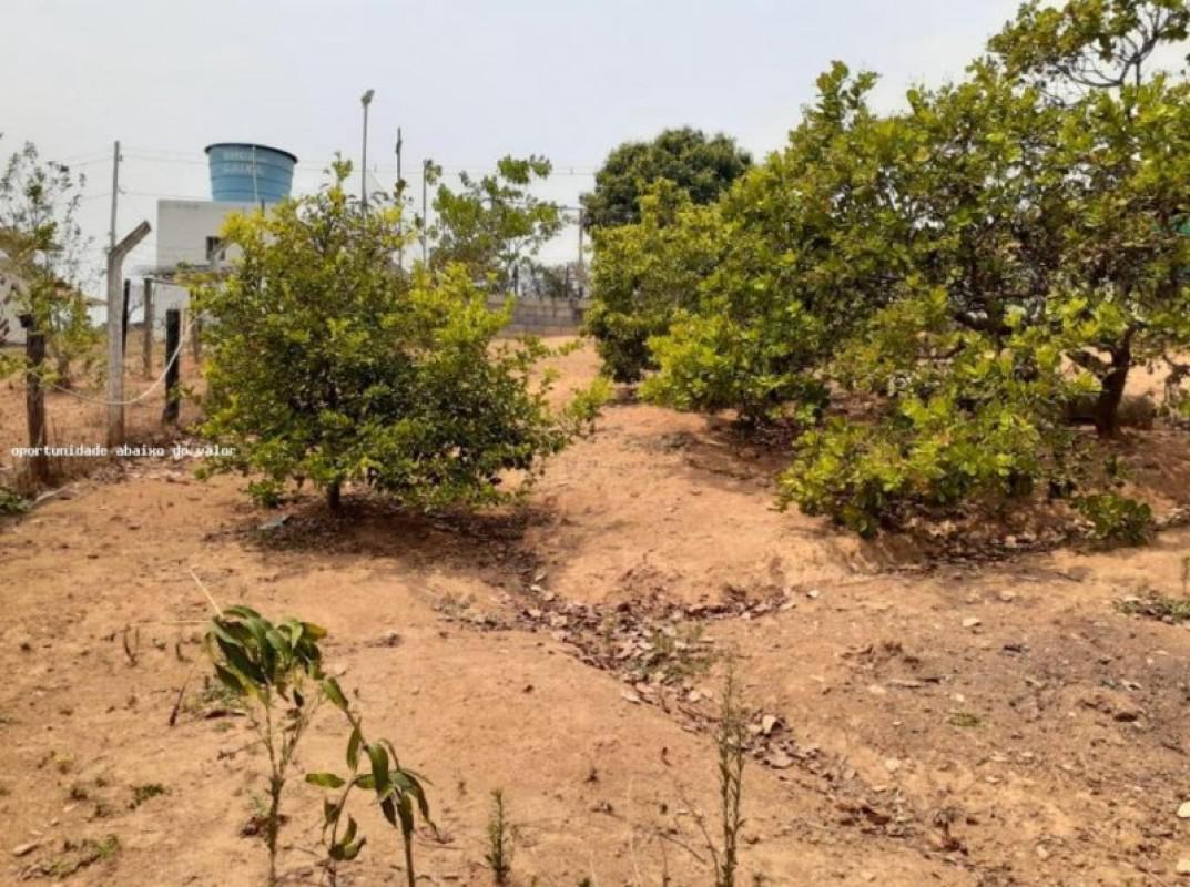 Fazenda, Andiroba, 3 Quartos, 2 Vagas, 1 Suíte