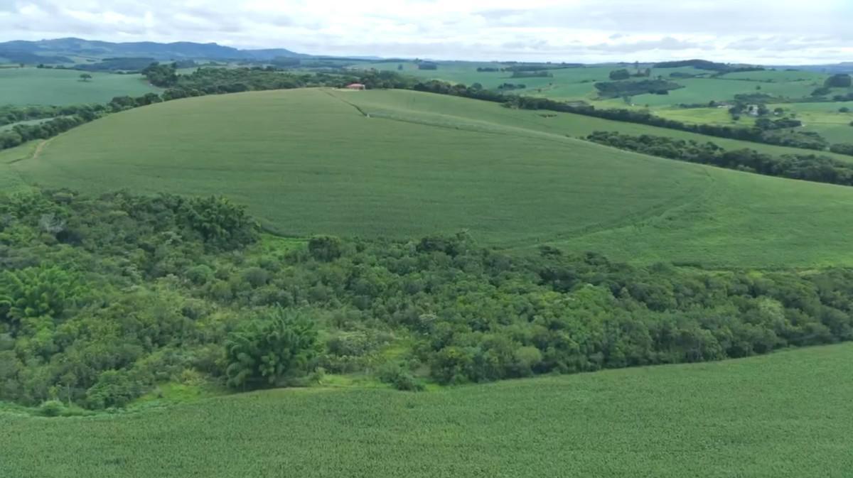 Fazenda, Zona Rural, 0 Quarto, 0 Vaga