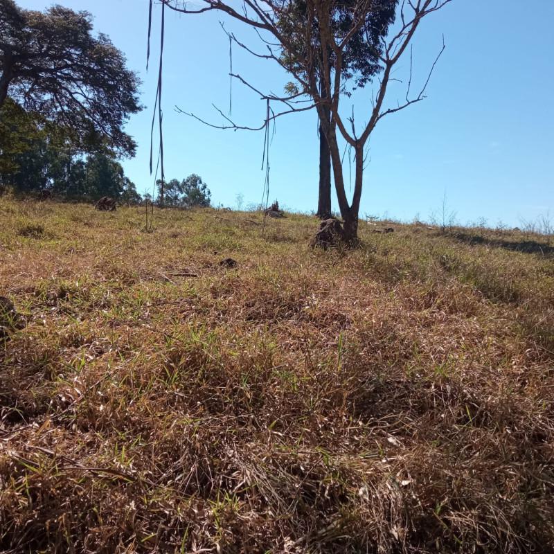 Fazenda, Zona Rural, 0 Quarto, 0 Vaga