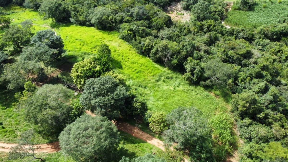 Fazenda, Centro, 0 Quarto, 0 Vaga