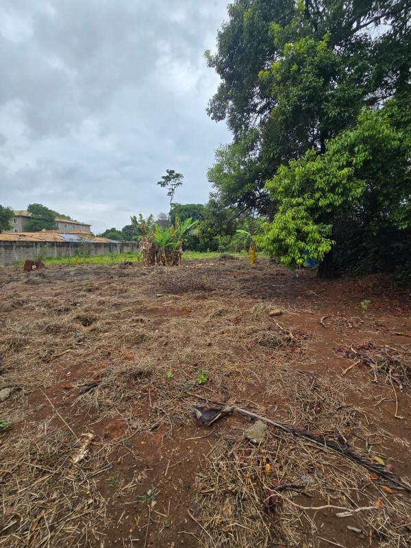 Casa, Chácara Novo Horizonte, 2 Quartos, 10 Vagas