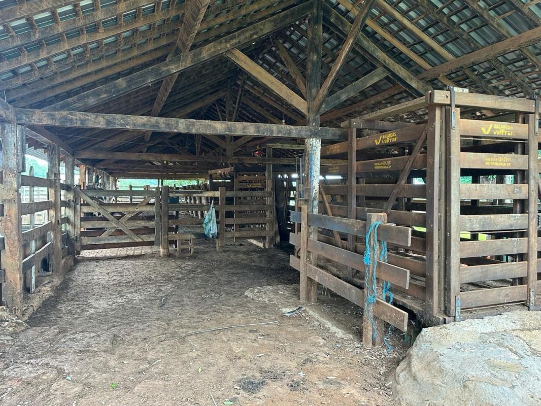Fazenda, Zona Rural, 0 Quarto, 0 Vaga