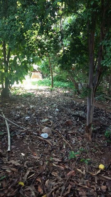 Lote, Betânia, 0 Quarto, 0 Vaga