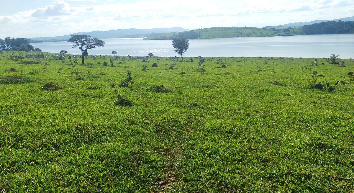 Fazenda, Zona Rural, 0 Quarto, 0 Vaga