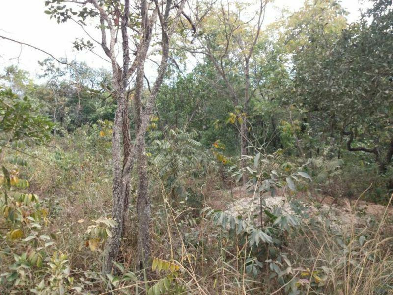 Lote, Ravena, 0 Quarto, 0 Vaga