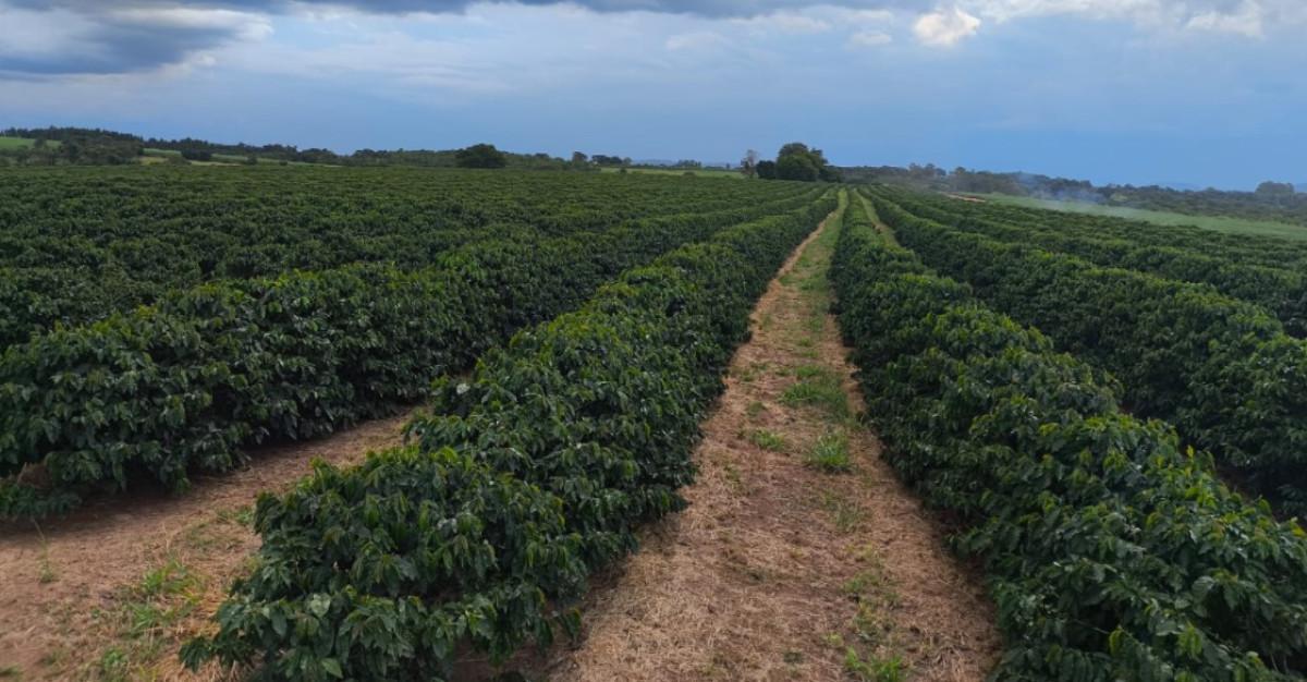 Fazenda, Zona Rural, 0 Quarto, 0 Vaga