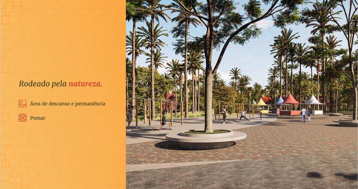 Lote, Canaã, 0 Quarto, 0 Vaga