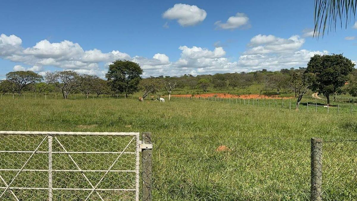 Fazenda, Centro, 0 Quarto, 0 Vaga