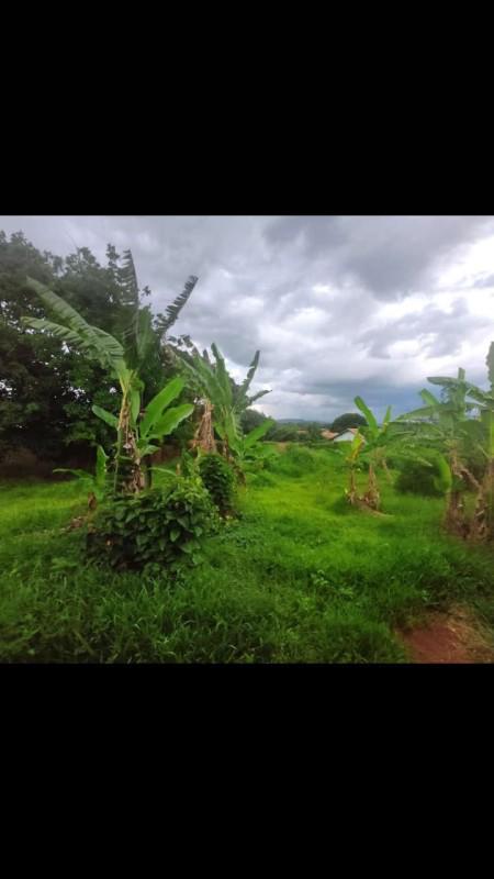 Fazenda, Dumaville, 3 Quartos, 10 Vagas