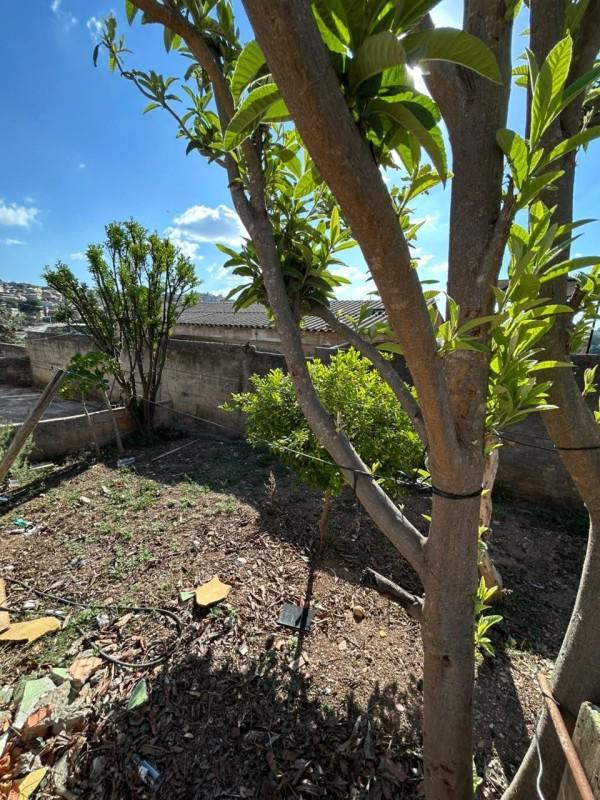 Casa, Santa Cecília Vale do Jatobá (barreiro), 4 Quartos, 2 Vagas