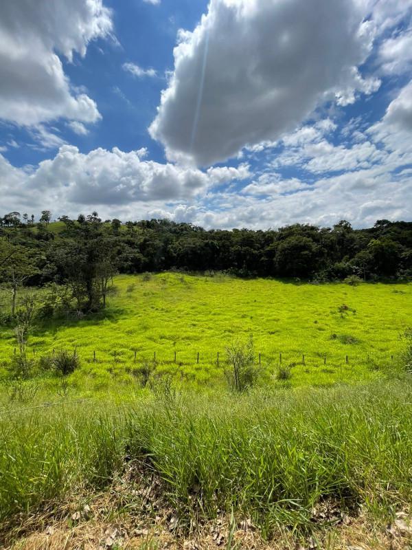 Fazenda, Centro, 8 Quartos, 0 Vaga