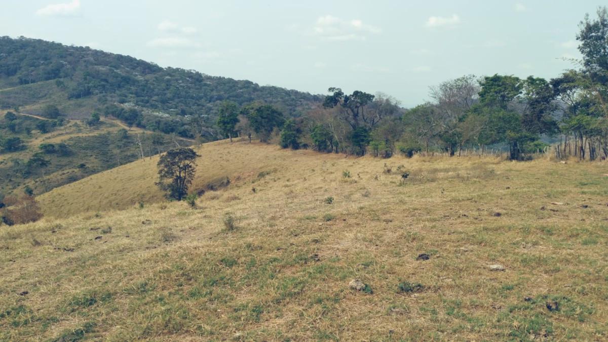 Fazenda, Zona Rural, 0 Quarto, 0 Vaga