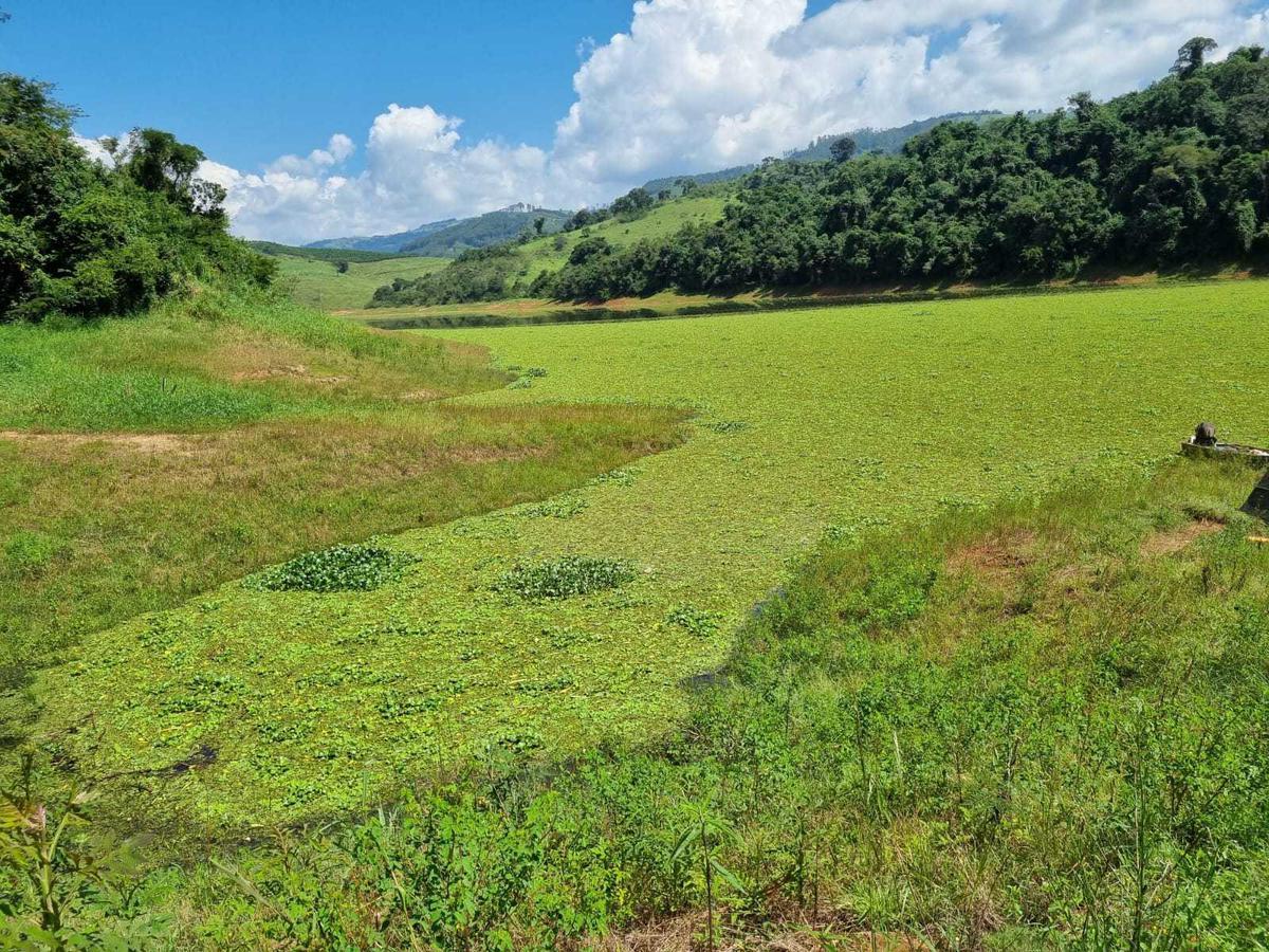 Fazenda, Zona Rural, 3 Quartos, 0 Vaga