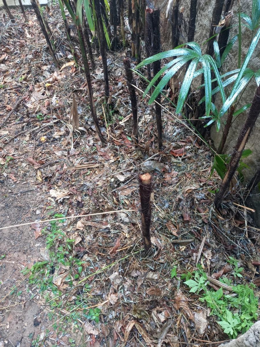 Casa, Centro, 2 Quartos, 1 Vaga, 1 Suíte