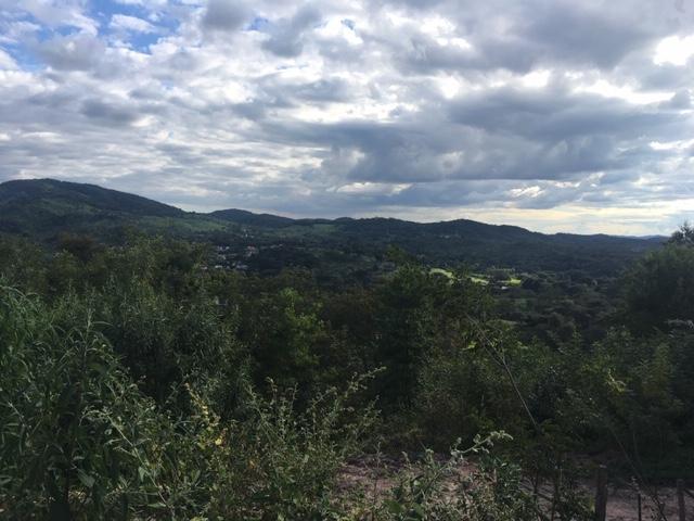 Lote, Zona Rural, 0 Quarto, 0 Vaga