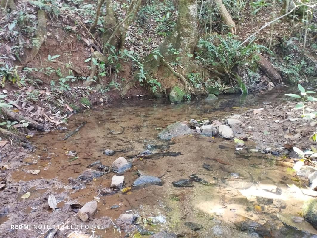 Fazenda, Centro, 3 Quartos, 0 Vaga