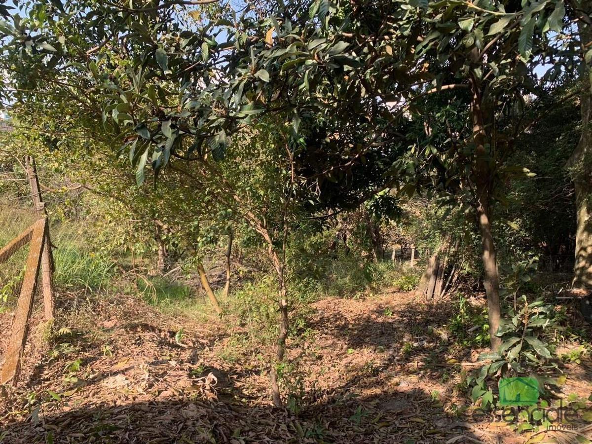 Lote, Tijuca, 0 Quarto, 0 Vaga