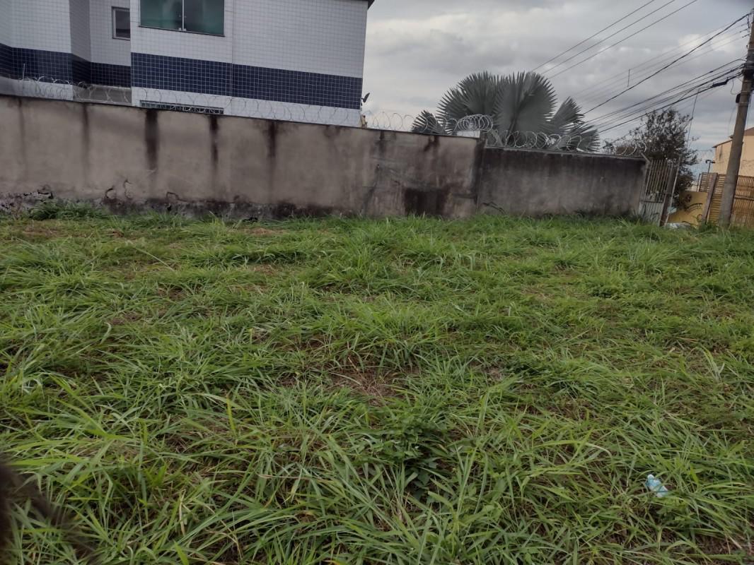 Lote, Renascença, 0 Quarto, 0 Vaga