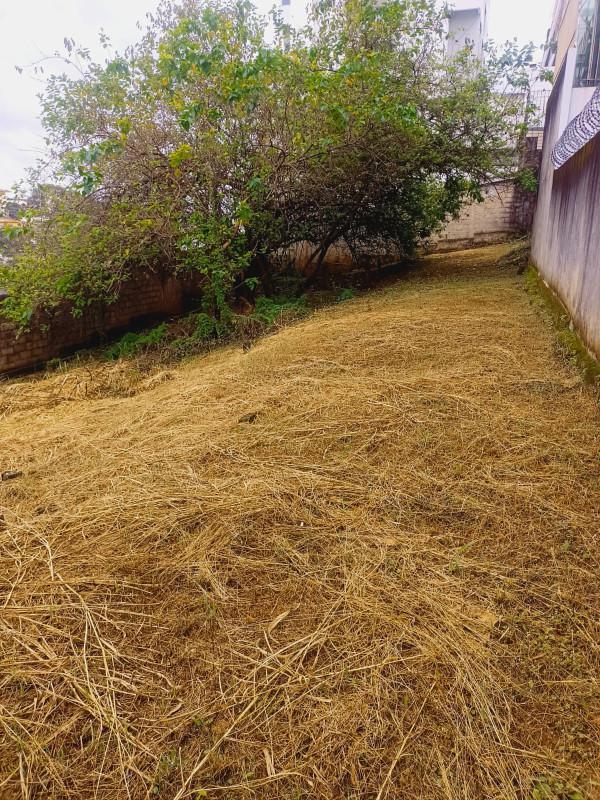 Lote, Coração Eucarístico, 0 Quarto, 0 Vaga