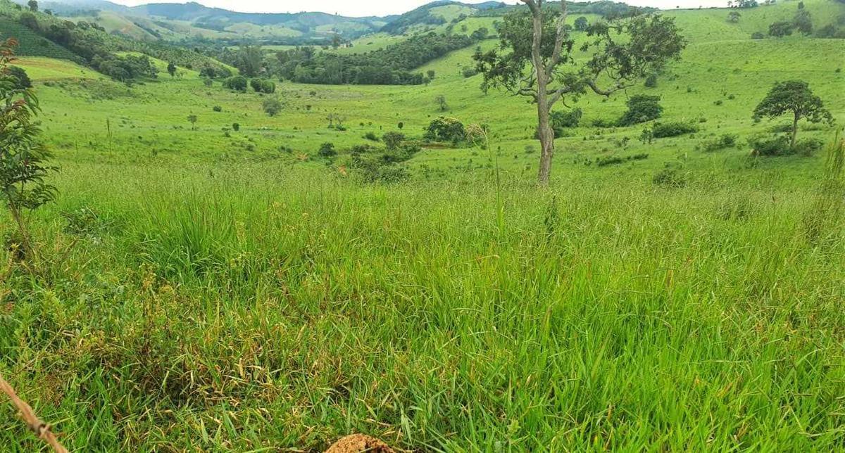 Fazenda, Zona Rural, 4 Quartos, 0 Vaga