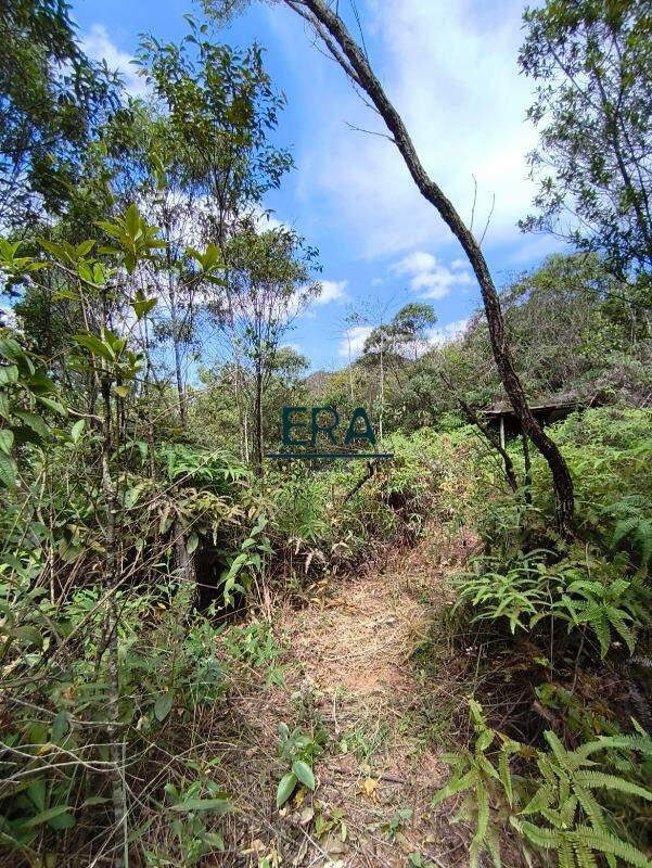 Lote, Parque do Engenho, 0 Quarto, 0 Vaga