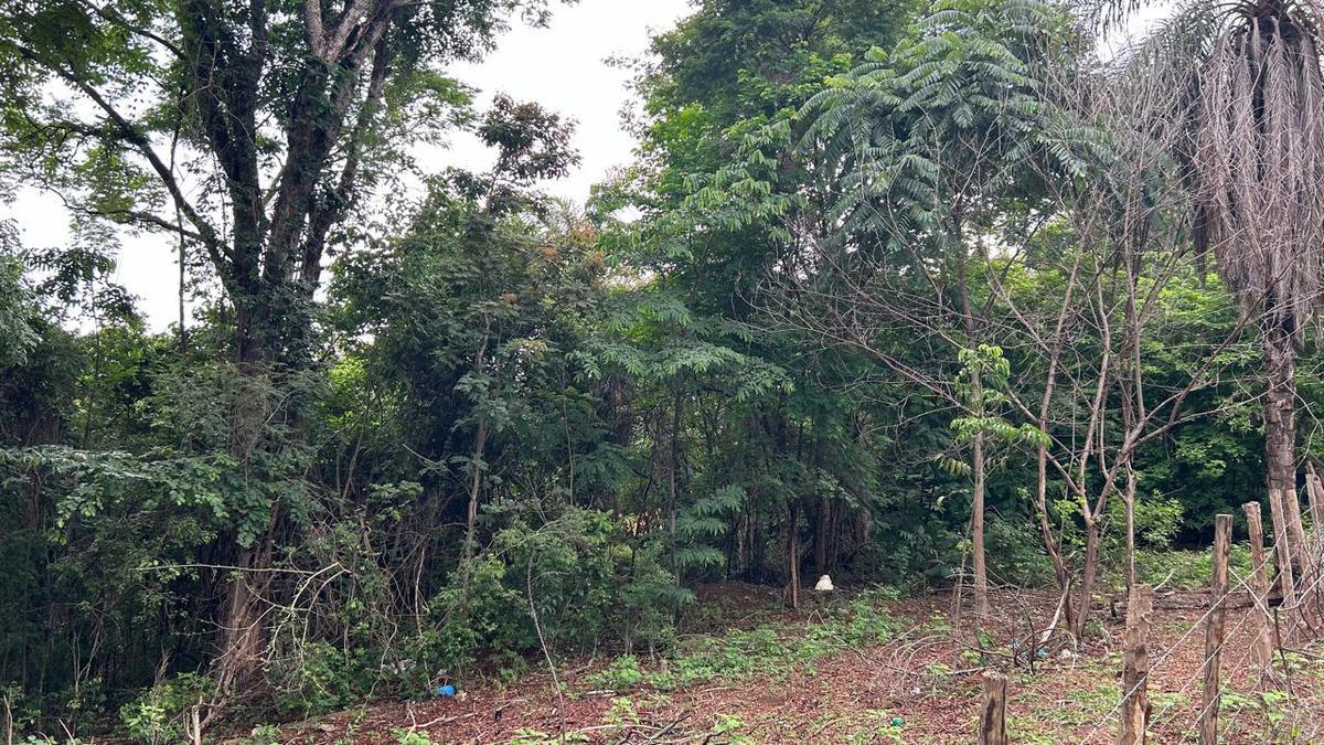 Lote, Jardim Encantado, 0 Quarto, 0 Vaga