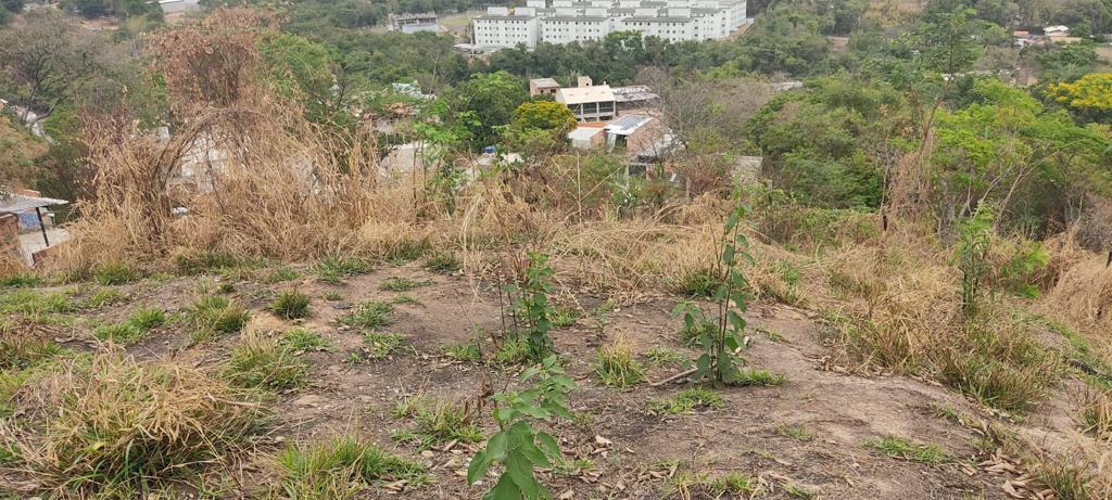 Lote, Santa Maria, 0 Quarto, 0 Vaga